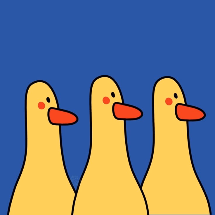 duck trio